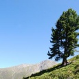Hochalpin